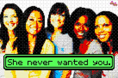 she never wanted you.jpg