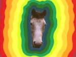 IitQH40oXnsu1buQxbe7YfL1aCsI9kVJidI5byhDRPQ.gif