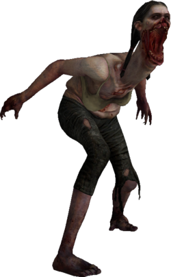 your_boy_didnt_do_too_bad_did_he.png