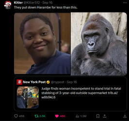 sheboon niggers can kill innocent white babies by stabbing gets off without warning but haramb...png