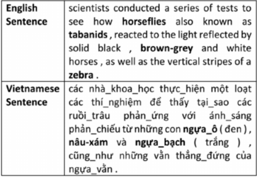 An-English-Vietnamese-sentence-pair.png