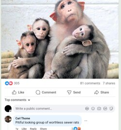 Screenshot_20240920_143347_Chrome.jpg