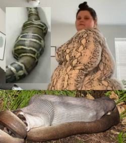 ambo snake suit.png