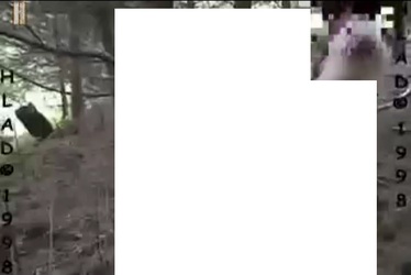 1726953091524.png