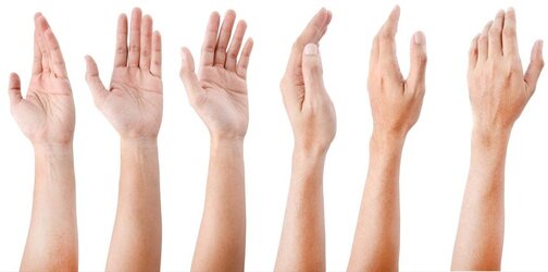 Adult-Men-Hand.jpg