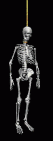 1000047628.gif