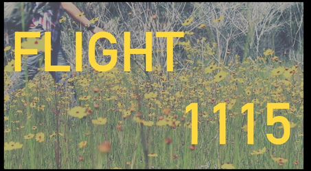 1115.png