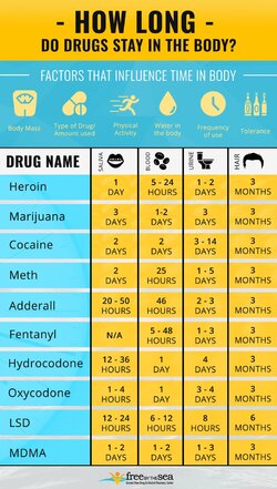 FBTS-MEGA-INFOGRAPHIC-DRUGS-IN-BODY-V1.jpg