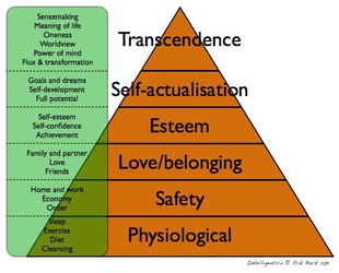 Maslow's hierarchy of needs.gif