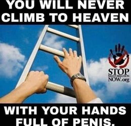 b66c593fadbc3d79867b4d6f24e24cec367f5d69da79ae6261993b3b83ed8fad_1.jpg
