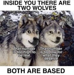 20240922_161617.jpg