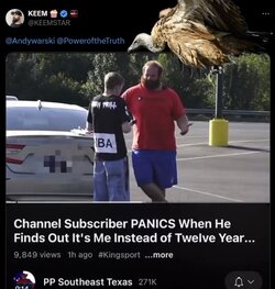 Vulture.JPG