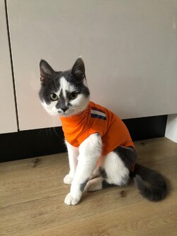 6e1b8e51-0261-4722-a173-66277dfcfda4.jpg