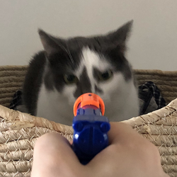 52.png