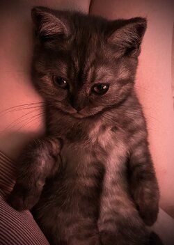 IMG_1105.jpg