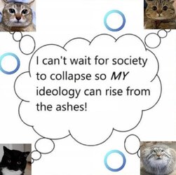 1727141211893.jpeg