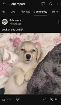 Screenshot_20240923_213755_YouTube.png
