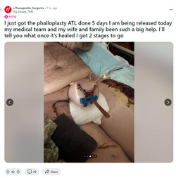 Brickdog4.jpg