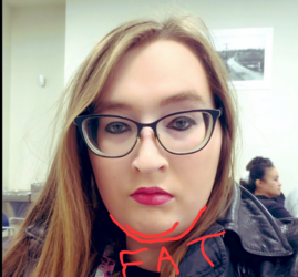Hates Mexicans Tweet.PNG