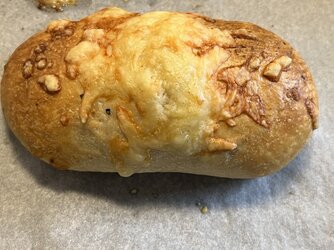 IMG_6508.jpeg