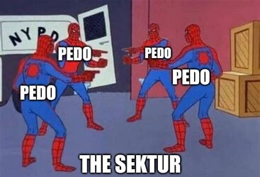 TheSektur.jpg