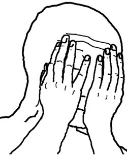 FAS_t41XEAEk9lV.png