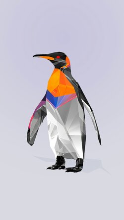 Pelican.jpg