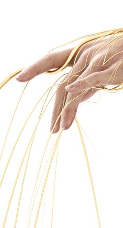 Touch.jpg
