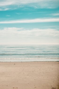 Beachly.jpg