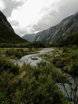 NZ2_SE_1.jpg