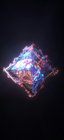 Bloom.jpg