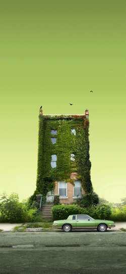 Rowhome~65~4K.jpg