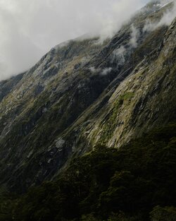 NZ_SE_1.jpg