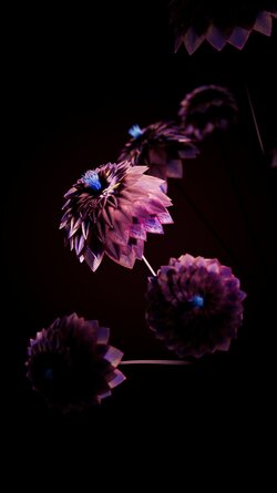 Flowers~4.jpg