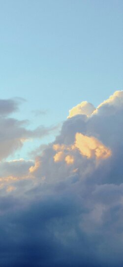 Blueberry~Sky.jpg