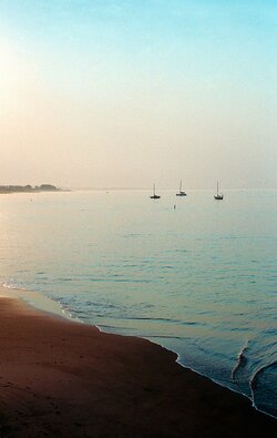 Santa~Cruz~Morning.jpg