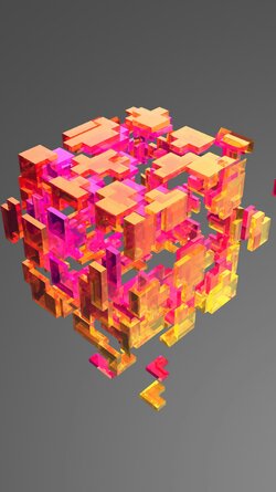 Tetra.jpg
