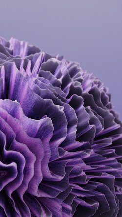 Coral_2.jpg