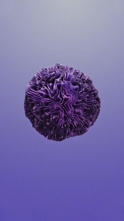 Coral_5.jpg