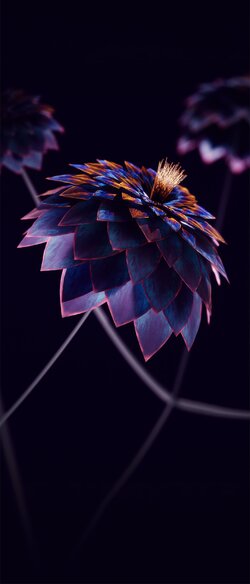 Flowers~3.jpg