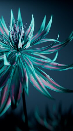 Flowers~5~Dark.jpg