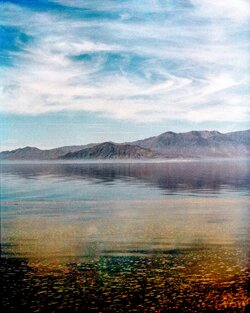 Salton~Sea.jpg