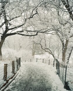 Ice_Walk.jpg