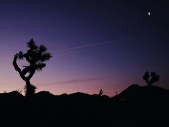 Purple~Skies.jpg