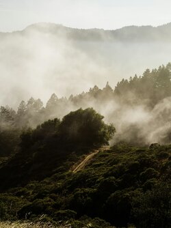 California~SE~1.jpg