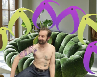 Kiwi Law Couch.png