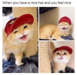 nice.jpg