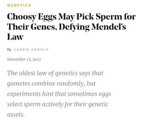Egg.jpg