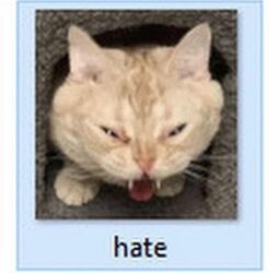 purehaterd.jpg