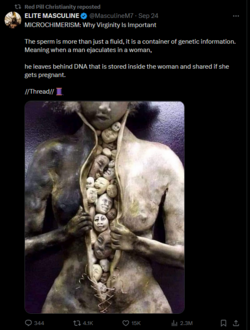 1727371438231.png